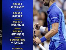 玩加电竞- 德约科维奇最新消息 