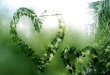 玩加竞技-赛前亚冠传出新动向，浙江稠州篮板制胜，高层表态——目标明确，轮换策略被讨论的简单介绍